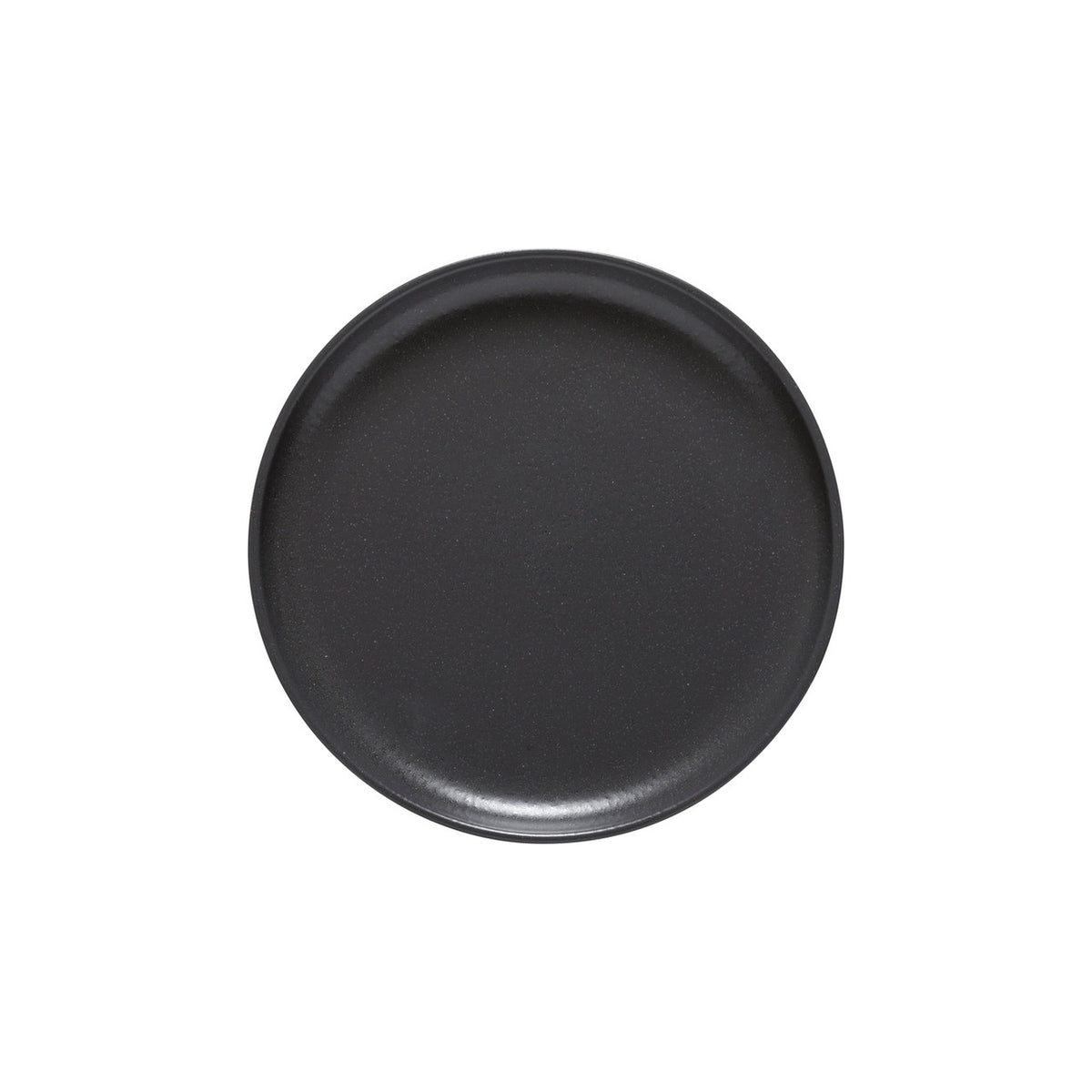 Casafina Pacifica Set of 6 Salad Plates - Seed Grey