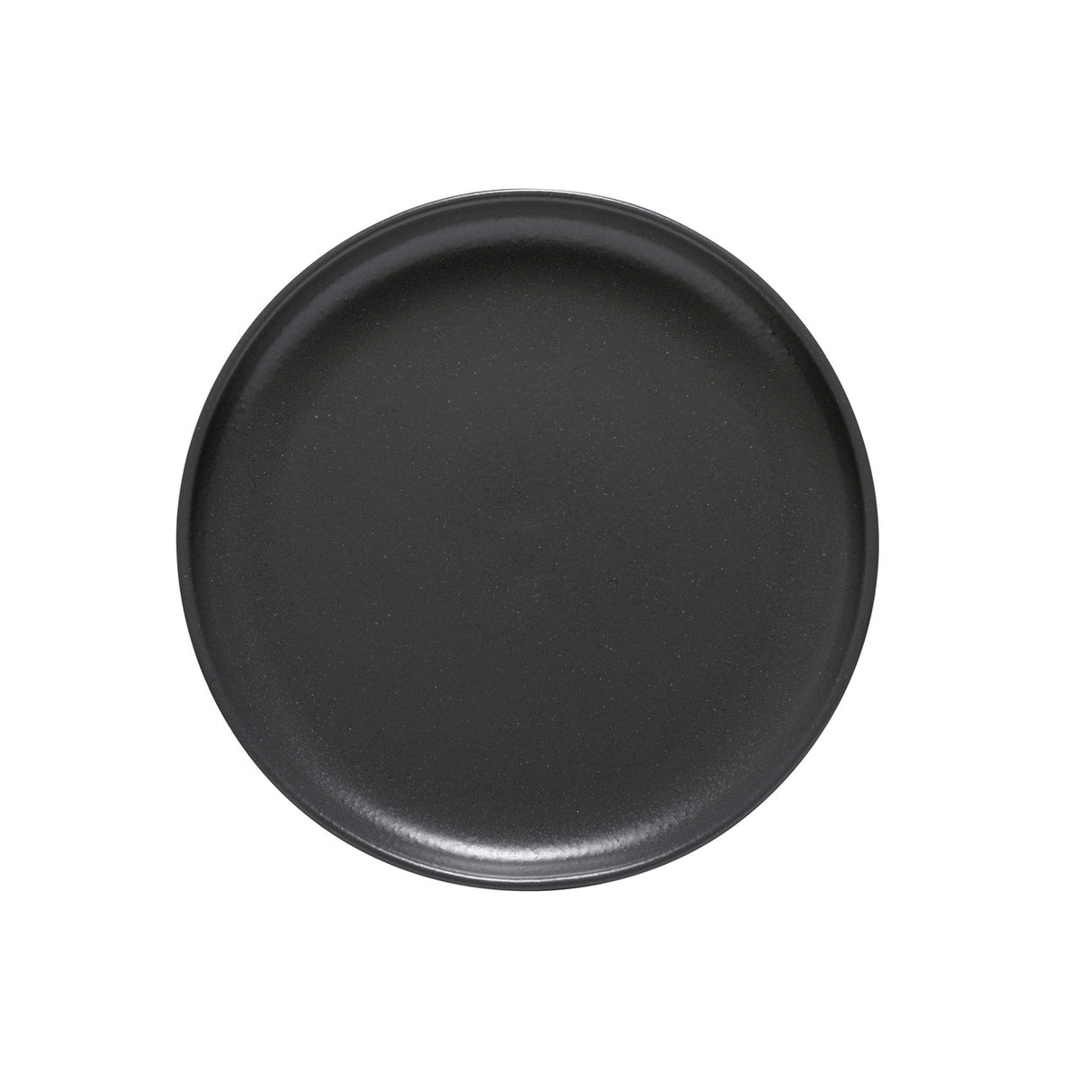 Casafina Pacifica Set of 6 Dinner Plates - Seed Grey