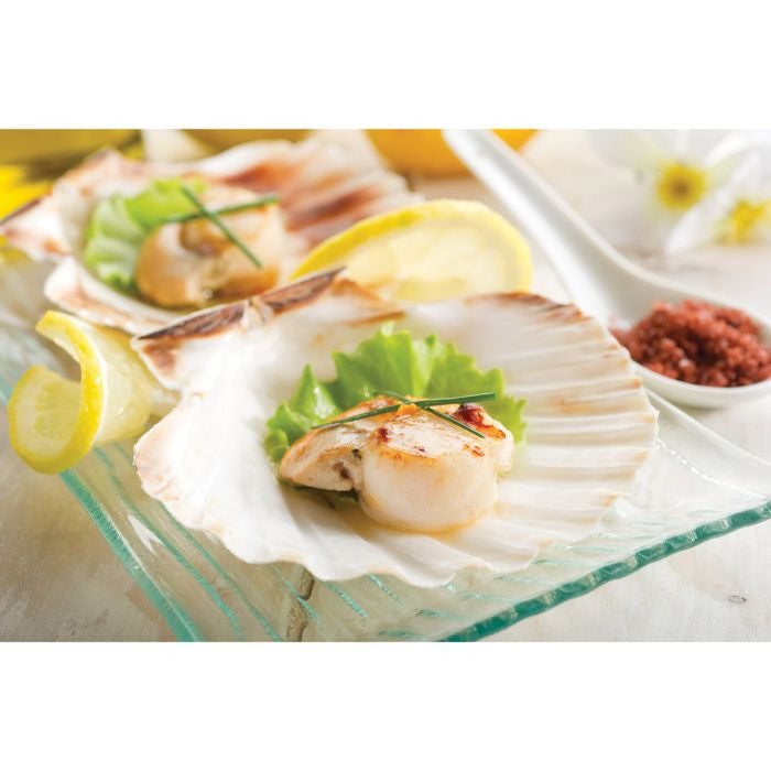 Maine Man Natural Baking Shells - Set of 4