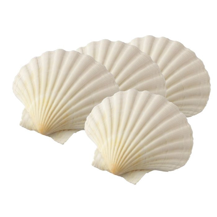 Maine Man Natural Baking Shells - Set of 4