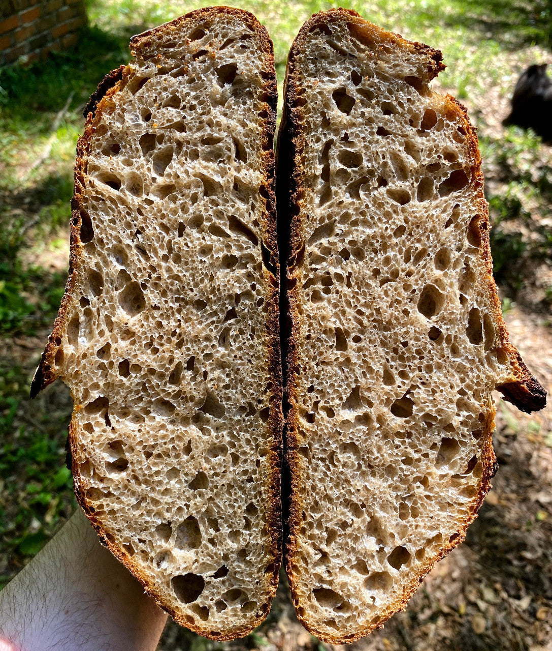 NOV 8 2026 10:30AM: An Introduction to Sourdough - Hands On