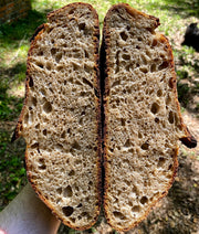 NOV 8 2026 10:30AM: An Introduction to Sourdough - Hands On