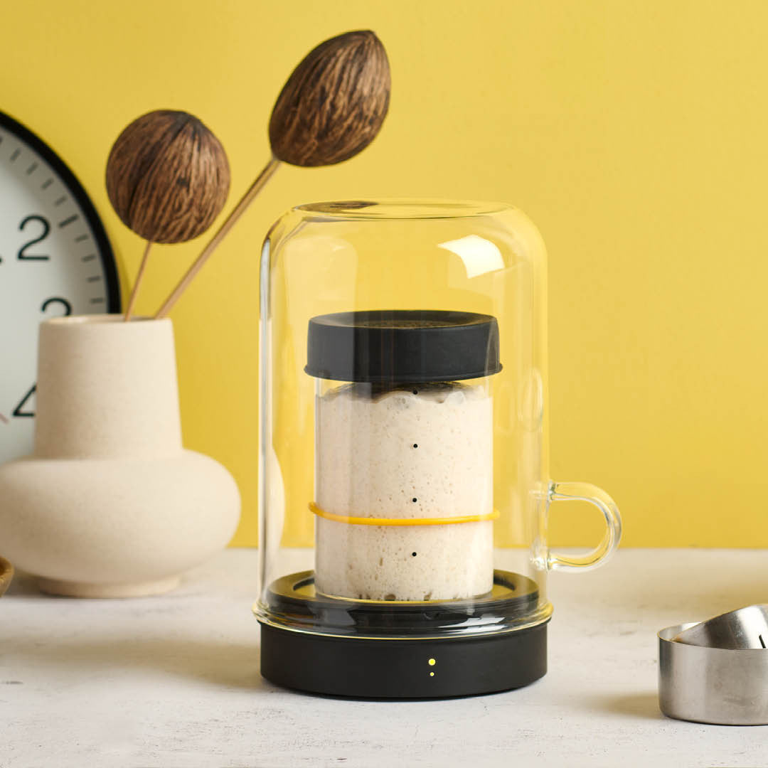 Goldie by Sourhouse + Cooling Puck