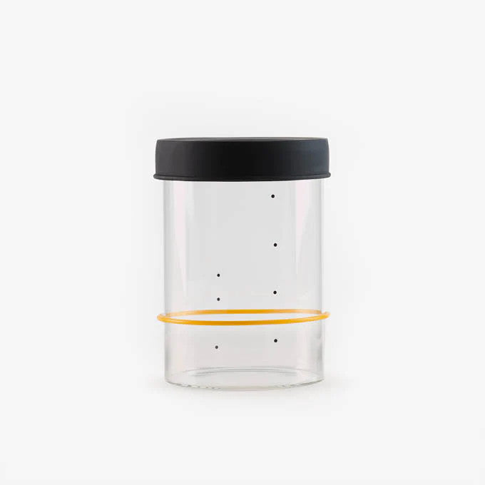 Sourhouse Starter Jar - Quart