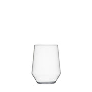 Fortessa Sole Acrylic Stemless Wine Glass, 19 oz. - Clear