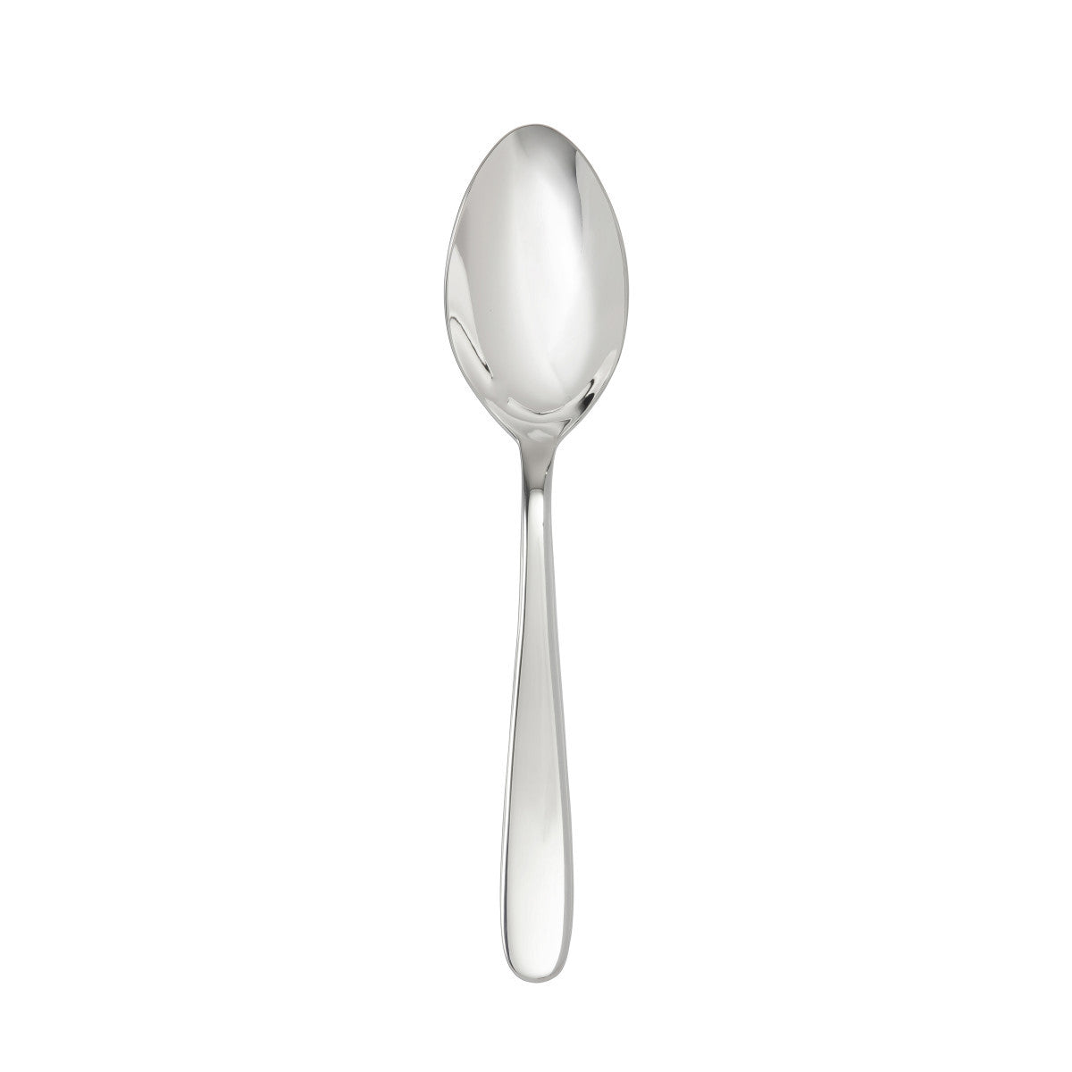 Fortessa Grand City 9.25" Serving Spoon